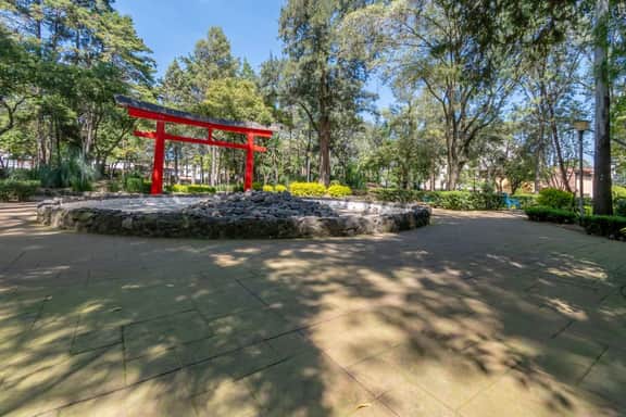 Stylish Apt | Fast WiFi & Workspace | Coyoacan - Image 5