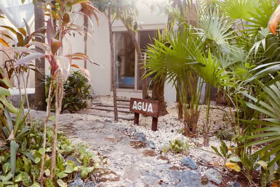 Suite Agua - Image 4