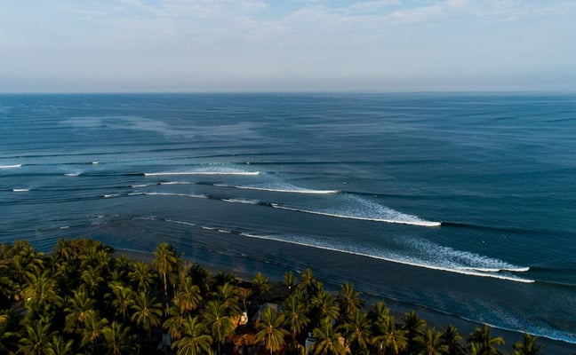 Aerial view of black sand beach with palm trees and multiple ocean waves rolling toward shore